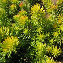 Нажмите чтобы увеличить изображение