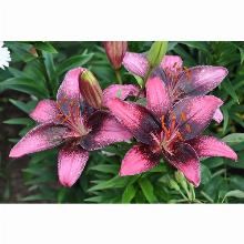 Нажмите чтобы увеличить изображение