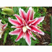 Нажмите чтобы увеличить изображение