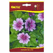 МАЛЬВА БОРДОВАЯ карточка