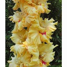 Нажмите чтобы увеличить изображение