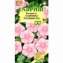 КАТАРАНТУС ПАЦИФИКА РОЗОВЫЙ ЛЕД 7 ШТ гавриш