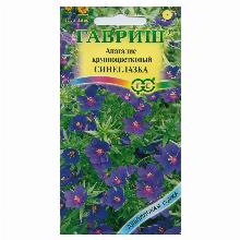 АНАГАЛИС КРУПНОЦВЕТКОВЫЙ СИНЕГЛАЗКА 0,1 Г гавриш