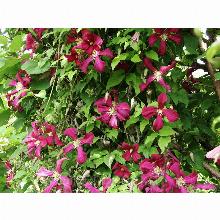 Нажмите чтобы увеличить изображение