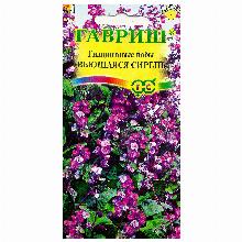 ГИАЦИНТОВЫЕ БОБЫ ВЬЮЩАЯСЯ СИРЕНЬ 4 ШТ гавриш