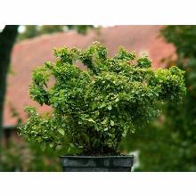 Нажмите чтобы увеличить изображение