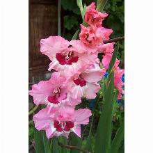 Нажмите чтобы увеличить изображение