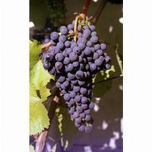 Нажмите чтобы увеличить изображение