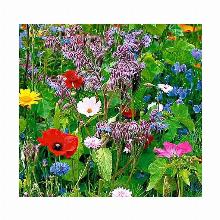 Нажмите чтобы увеличить изображение