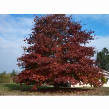 Нажмите чтобы увеличить изображение