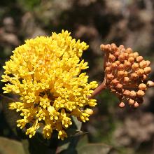 Нажмите чтобы увеличить изображение