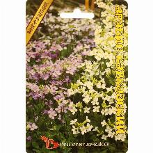 АРАБИС КАВКАЗСКИЙ 100 ШТ биотехника