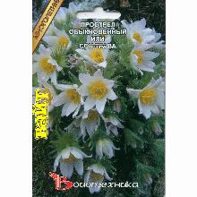 ПРОСТРЕЛ ОБЫКНОВЕННЫЙ СОН-ТРАВА ВАЙТ 10 ШТ биотехника