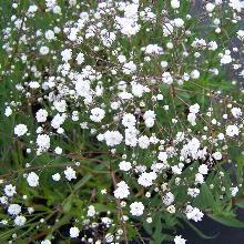 Нажмите чтобы увеличить изображение