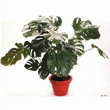 Нажмите чтобы увеличить изображение