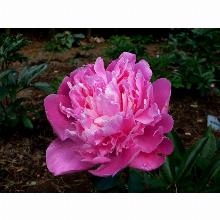 Нажмите чтобы увеличить изображение