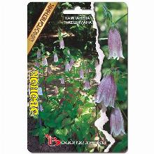 КОЛОКОЛЬЧИК ТАКЕШИМАНА ЗВОНОК 200 ШТ биотехника