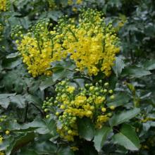 Нажмите чтобы увеличить изображение