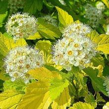 Нажмите чтобы увеличить изображение