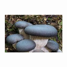 Нажмите чтобы увеличить изображение