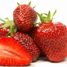 РАССАДА КЛУБНИКА СИМФОНИЯ горшок-с1