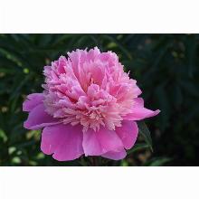 Нажмите чтобы увеличить изображение