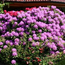 Нажмите чтобы увеличить изображение