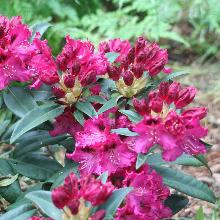 Нажмите чтобы увеличить изображение