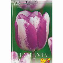 ТЮЛЬПАН ХОТПАНС 10шт-карточка lefeber