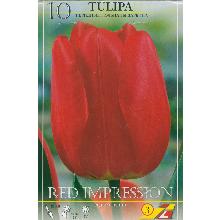 ТЮЛЬПАН РЕД ИМПРЕШН 10шт-карточка lefeber