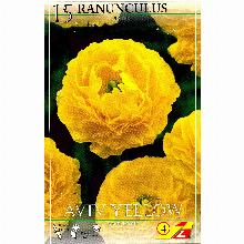 РАНУНКУЛЮС АВИВ ЕЛЛОУ 15шт-карточка lefeber