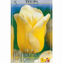 ТЮЛЬПАН ФЕДОР ДОБРОНРАВОВ 5шт-карточка lefeber