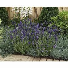 Нажмите чтобы увеличить изображение