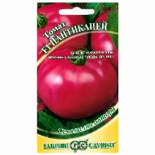 ТОМАТ ПАНТИКАПЕЙ F1  12 ШТ гавриш
