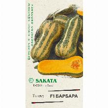 ТЫКВА БАРБАРА F1 5 ШТ гавриш