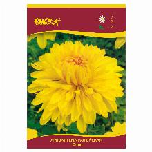 ХРИЗАНТЕМА КОРЕЙСКАЯ ОПАЛ карточка