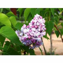 Нажмите чтобы увеличить изображение