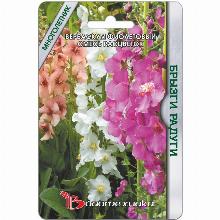 ВЕРБАСКУМ ФМОЛЕТОВЫЙ БРЫЗГИ РАДУГИ 300 ШТ биотехника