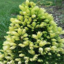 Нажмите чтобы увеличить изображение