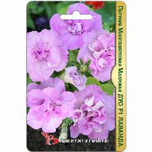 ПЕТУНИЯ МНОГОЦВЕТКОВАЯ МАХРОВАЯ ДУО ЛАВАНДА F1 10 ШТ биотехника