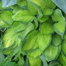 Нажмите чтобы увеличить изображение