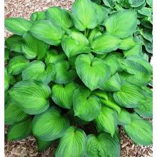 Нажмите чтобы увеличить изображение