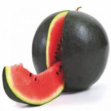 РАССАДА АРБУЗ СИБИРСКИЕ ОГНИ кассета-6шт