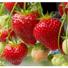 Нажмите чтобы увеличить изображение