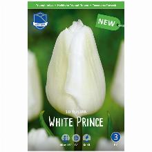 ТЮЛЬПАН УАЙТ ПРИНЦ 10шт-карточка lefeber