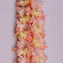 ГЛАДИОЛУС ГРАФИНЯ 3шт-пакет