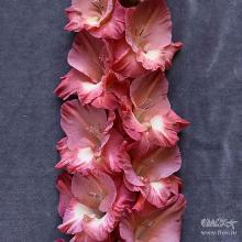 ГЛАДИОЛУС МАЙЛИШ 3шт-пакет