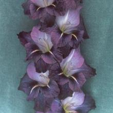 Нажмите чтобы увеличить изображение