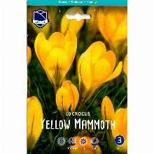 КРОКУС УЕЛЛОУ МЭМОС 10шт-карточка lefeber