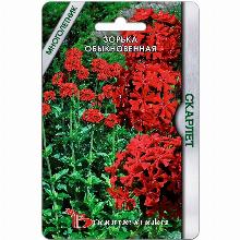 ЛИХНИС ЗОРЬКА ОБЫКНОВЕННАЯ СКАРЛЕТ 100 ШТ биотехника